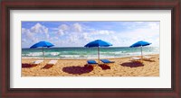 Framed Lounge chairs and beach umbrellas on the beach, Fort Lauderdale Beach, Florida, USA