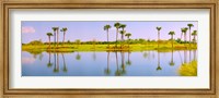 Framed Reflection of trees on water, Lake Worth, Palm Beach County, Florida, USA
