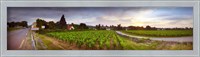 Framed Vineyard, Mercurey, France