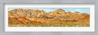 Framed Bushes in a desert with mountain range in the background, Death Valley, Death Valley National Park, California