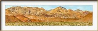 Framed Bushes in a desert with mountain range in the background, Death Valley, Death Valley National Park, California