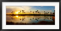 Framed Reflection of trees in water at sunset, Lake Worth, Palm Beach County, Florida, USA