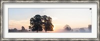 Framed Trees at sunrise, USK Valley, South Wales, Wales