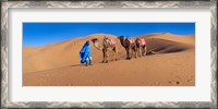 Framed Tuareg man leading camel train in desert, Erg Chebbi Dunes, Sahara Desert, Morocco