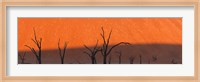 Framed Dead trees in dry clay pan, Dead Vlei, Sossusvlei, Namib-Naukluft National Park, Namibia