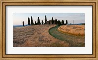 Framed Road leading towards a farmhouse, Val d'Orcia, Tuscany, Italy