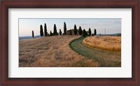 Framed Road leading towards a farmhouse, Val d'Orcia, Tuscany, Italy