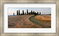 Framed Road leading towards a farmhouse, Val d'Orcia, Tuscany, Italy