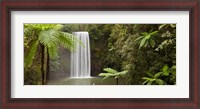 Framed Waterfall in a forest, Millaa Millaa Falls, Atherton Tableland, Queensland, Australia