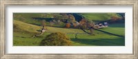 Framed High angle view of a village in valley, Dove Dale, White Peak, Peak District National Park, Derbyshire, England