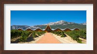 Framed Bodegas Ysios winery building and vineyard, La Rioja, Spain