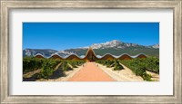Framed Bodegas Ysios winery building and vineyard, La Rioja, Spain