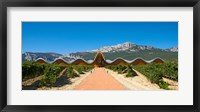 Framed Bodegas Ysios winery building and vineyard, La Rioja, Spain