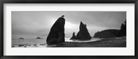 Framed Silhouette of seastacks at sunset, Olympic National Park, Washington State (black and white)