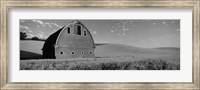 Framed Black and White view of Old barn in a wheat field, Washington State