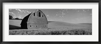 Framed Black and White view of Old barn in a wheat field, Washington State