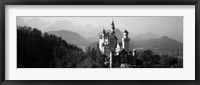 Framed Castle on a hill, Neuschwanstein Castle, Bavaria, Germany