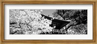 Framed Golden Gate Park, Japanese Tea Garden (black & white)