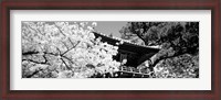 Framed Golden Gate Park, Japanese Tea Garden (black & white)