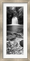 Framed Waterfall In A Forest, Thomason Foss, Goathland, North Yorkshire, England, United Kingdom (black and white)