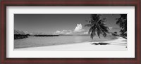 Framed Moana Beach (black and white), Bora Bora, Tahiti, French Polynesia