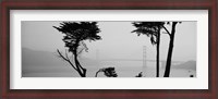 Framed Golden Gate Bridge Through the Fog (black & white)