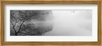 Framed Reflection of trees in a lake, Lake Vesuvius, Wayne National Forest, Ohio, USA