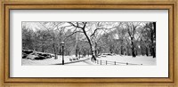 Framed Central Park in Snow