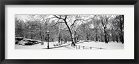 Framed Central Park in Snow