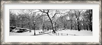 Framed Central Park in Snow