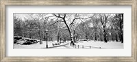 Framed Central Park in Snow