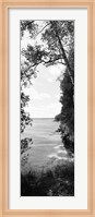 Framed Trees at the lakeside in black and white, Lake Michigan, Wisconsin