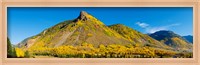 Framed Aspen trees on mountain, Anvil Mountain, Million Dollar Highway, Silverton, Colorado, USA