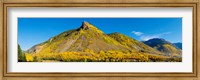 Framed Aspen trees on mountain, Anvil Mountain, Million Dollar Highway, Silverton, Colorado, USA