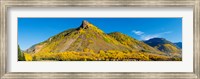 Framed Aspen trees on mountain, Anvil Mountain, Million Dollar Highway, Silverton, Colorado, USA