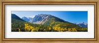 Framed Aspen trees on mountain, Little Giant Peak, King Solomon Mountain, San Juan National Forest, Colorado, USA