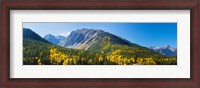 Framed Aspen trees on mountain, Little Giant Peak, King Solomon Mountain, San Juan National Forest, Colorado, USA