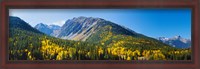 Framed Aspen trees on mountain, Little Giant Peak, King Solomon Mountain, San Juan National Forest, Colorado, USA