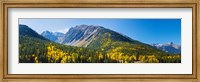 Framed Aspen trees on mountain, Little Giant Peak, King Solomon Mountain, San Juan National Forest, Colorado, USA