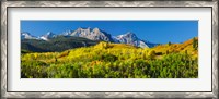 Framed Aspen trees with mountains in the background, Uncompahgre National Forest, Colorado
