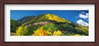 Framed Aspen trees on mountain, Needle Rock, Gold Hill, Uncompahgre National Forest, Telluride, Colorado, USA