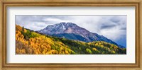 Framed Trees on mountains, San Juan National Forest, Colorado, USA