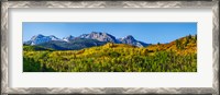 Framed Uncompahgre National Forest, Colorado