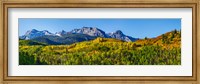 Framed Uncompahgre National Forest, Colorado