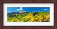 Framed Aspen trees with mountain in the background, Sunshine Peak, Uncompahgre National Forest, near Telluride, Colorado, USA