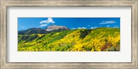 Framed Aspen trees with mountain in the background, Sunshine Peak, Uncompahgre National Forest, near Telluride, Colorado, USA