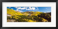 Framed Aspen trees on a mountain, San Juan National Forest, Colorado, USA