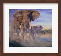 Framed Hold Em and Fold Em - elephants