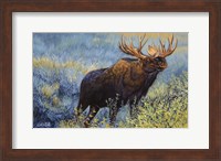 Framed Yellowstone Moose