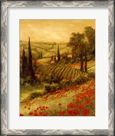 Framed Toscano Valley II
